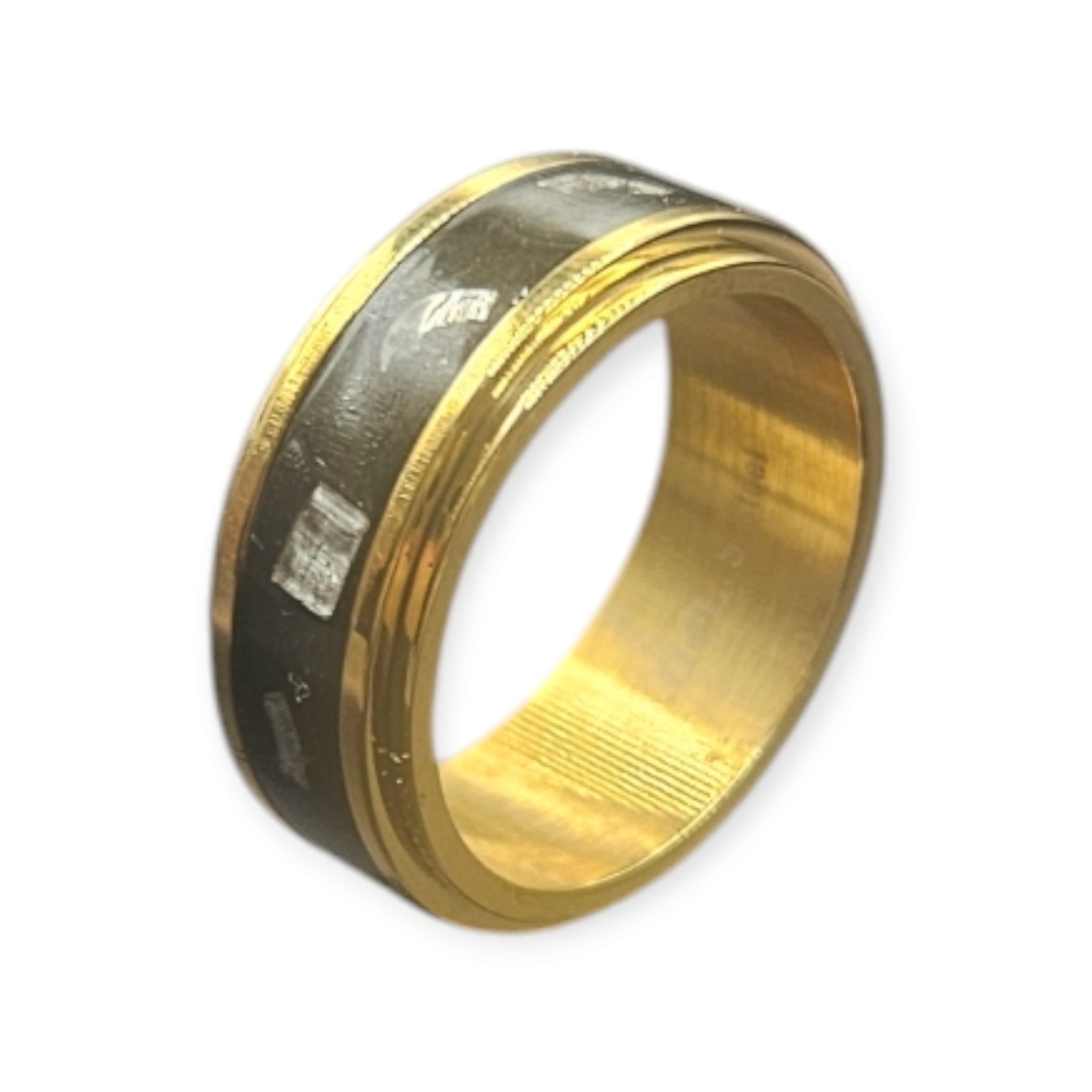 Shungite and Meteorite Band